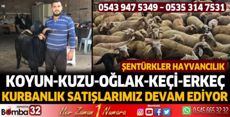 Şentürkler Hayvancılık kurbanlık satışları devam ediyor