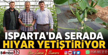 Serada hıyar yetiştiriyor