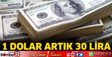 Serbest piyasada dolar 30 TL'yi aştı