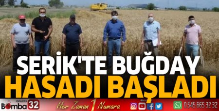 Serik'te buğday hasadı başladı