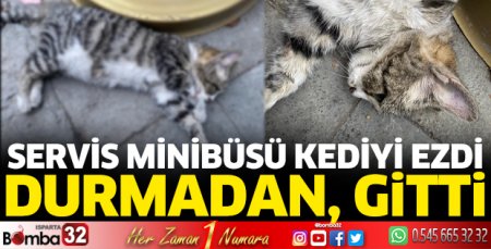 Servis minibüsü kediyi ezdi