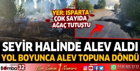 Seyir halinde alev aldı, yol kenarındaki ağaçlar tutuştu