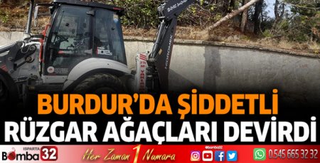 Şiddetli fırtına ağaçları devirdi