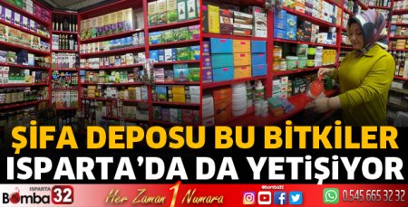 Şifa deposu bu bitkiler Isparta’da da yetişiyor