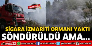 SİGARA İZMARİTİ ORMANI YAKTI