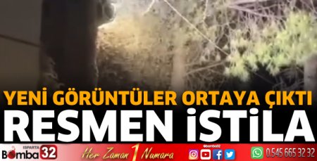 Sinek istilasının yeni görüntüleri