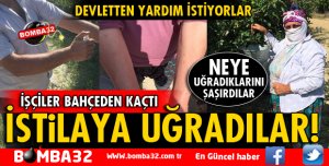 SİVRİSİNEK İSTİLASINA UĞRADILAR