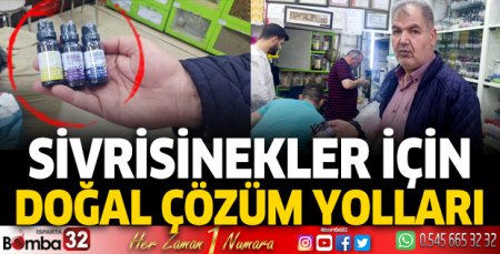 Sivrisineklere karşı doğal çözüm