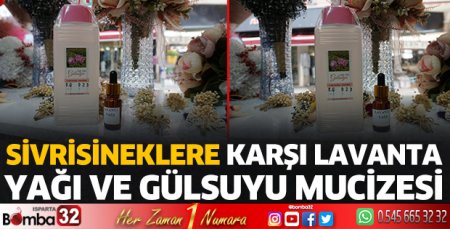 Sivrisineklere karşı lavanta yağı ve gülsuyu mucizesi