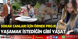 Sokak canları için örnek proje: Yaşamak istediğin gibi yaşat 