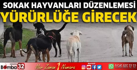 Sokak hayvanları düzenlemesi yürürlüğe girecek