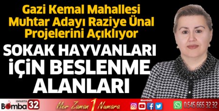Sokak hayvanları için beslenme alanları