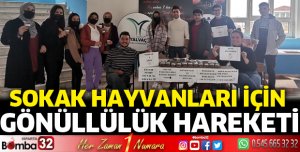 Sokak hayvanları için gönüllülük hareketi başlattılar