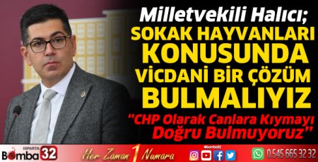 Sokak hayvanları konusunda vicdani bir çözüm bulmalıyız