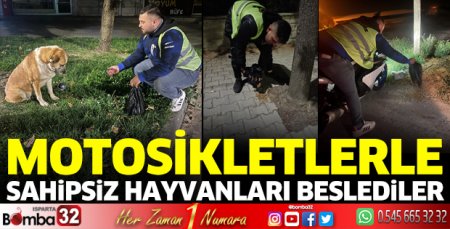 Sokak hayvanlarını beslediler