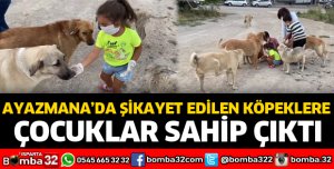 SOKAK HAYVANLARINI ELLERİYLE BESLEDİLER