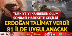 Sokak köpekleriyle ilgili Cumhurbaşkanı Erdoğan net konuştu