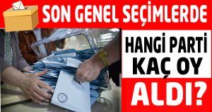 Son Genel Seçimlerde Hangi Parti Kaç Oy Aldı?