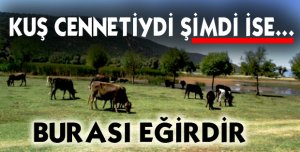 Sular ve Kuşlar Çekildi Cennet İneklere Kaldı!
