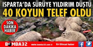 SÜRÜYE YILDIRIM İSABET ETTİ, 40 HAYVAN TELEF OLDU