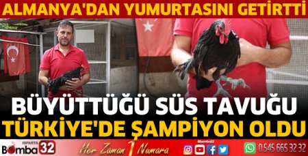 Süs tavuğu Türkiye'de şampiyon oldu