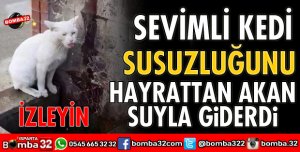 SUSUZ KALAN KEDİ BAKIN NE YAPTI
