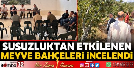 Susuzluktan etkilenen meyve bahçeleri incelendi