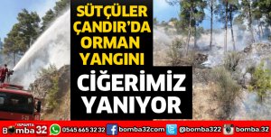 SÜTÇÜLER ÇANDIR'DA ORMAN YANGINI