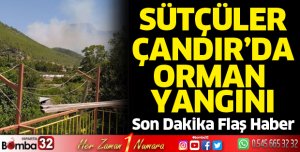 Sütçüler Çandır'da orman yangını