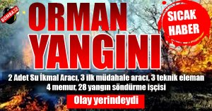 Sütçüler’de Orman Yangını!