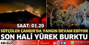 Sütçüler'de gece yarısı yangınla mücadele sürüyor