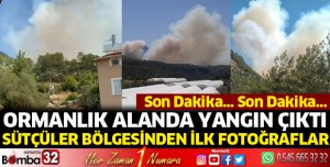 Sütçüler'de orman yangınından ilk görüntüler