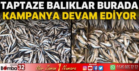 Taptaze balıklar burada