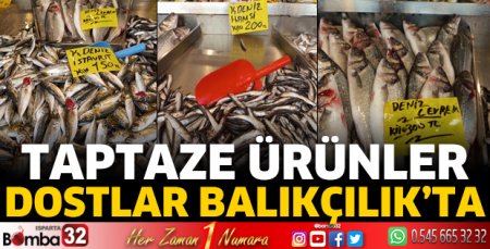 Taptaze ürünler Dostlar Balıkçılık'ta
