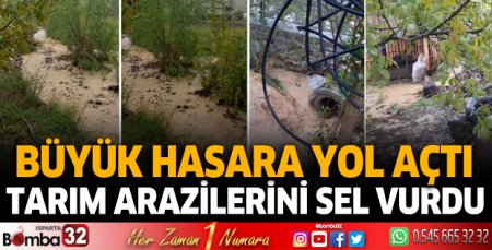 Tarım arazilerini sel vurdu