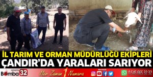 Tarım ve Orman Müdürlüğü ekipleri Çandır'da yaraları sarıyor