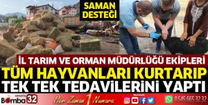 Tarım ve Orman Müdürlüğü ekipleri hayvanları kurtardı