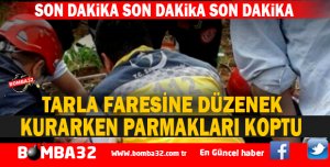 TARLA FARESİNE DÜZENEK KURARKEN PARMAKLARI KOPTU KORKUTAN OLAY