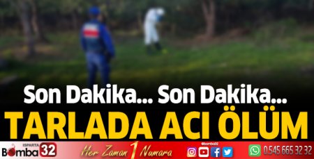Tarlada acı ölüm