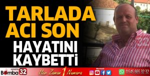 Tarlada acı son