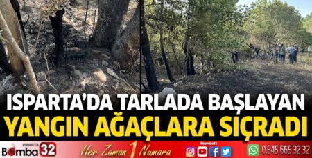 Tarlada başlayan yangın ağaçlara sıçradı