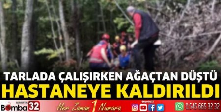 Tarlada çalışırken ağaçtan düştü hastaneye kaldırıldı 