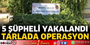 Tarlada operasyon