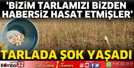 Tarlasına geldiğinde şok yaşadı