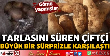 Tarlasını süren çiftçi büyük bir sürprizle karşılaştı