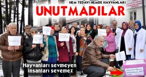 Tedavi olurken hayvanları unutmadılar