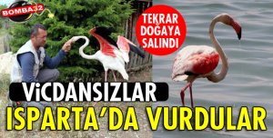 TEDAVİSİ TAMAMLANAN FLAMİNGO, BURDUR GÖLÜ'NE BIRAKILDI