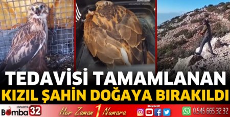 Tedavisi tamamlanan Kızıl Şahin doğaya bırakıldı