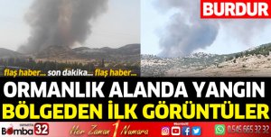 Tefenni ormanlık alanda yangın