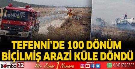 Tefenni'de 100 dönüm biçilmiş arazi küle döndü